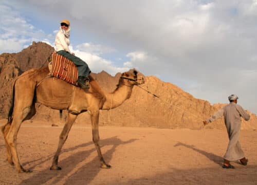 Camel Ride, Bedouin Dinner, Bedouin Show & Star Gazing