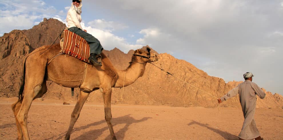Camel Ride, Bedouin Dinner, Bedouin Show & Star Gazing