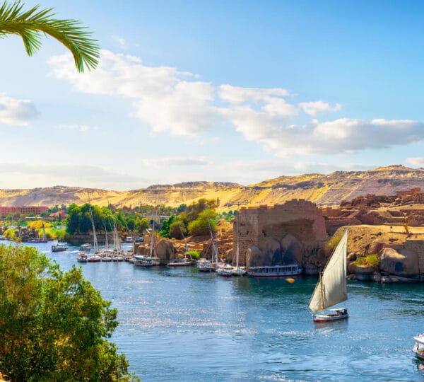 8 Days Egypt Tour – Cairo with 3 Nights Cruise by Train