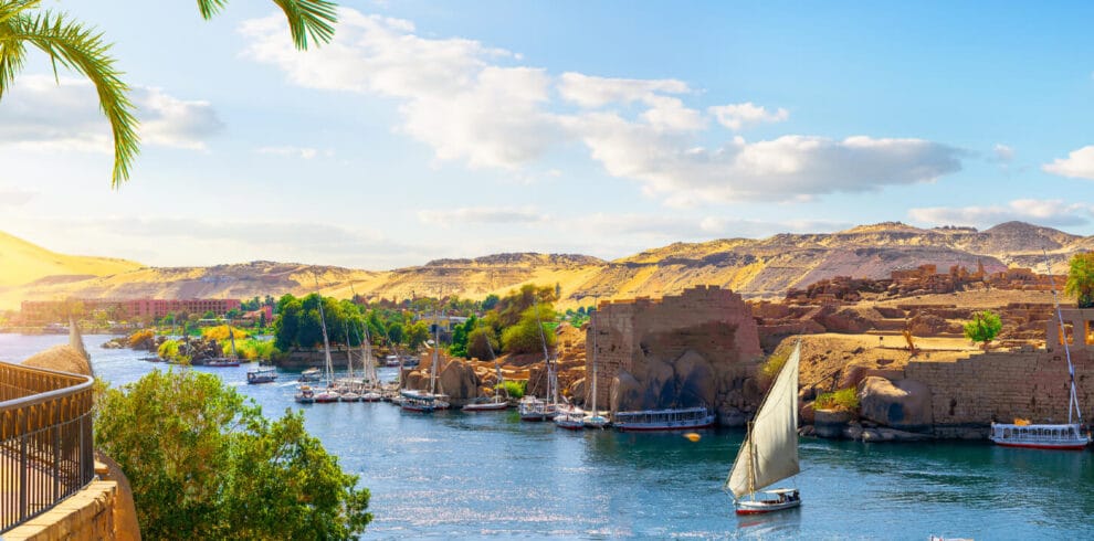 8 Days Egypt Tour – Cairo with 3 Nights Cruise by Train