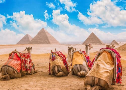 Cairo By Plane From Luxor One Day Private Trip