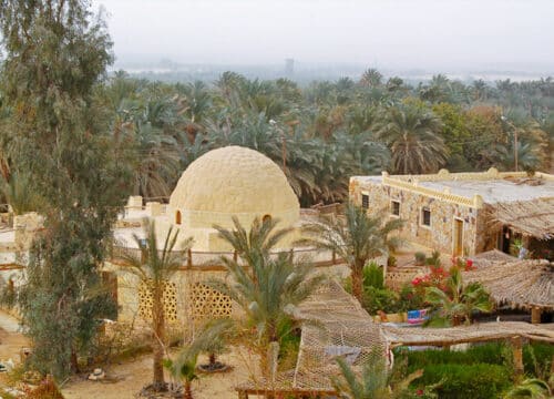 Bahariya Oasis