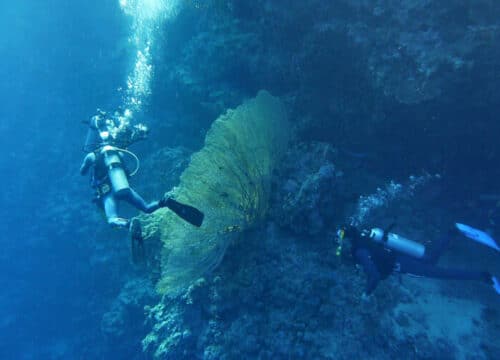 Red Sea Egypt