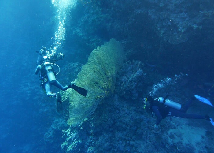 Red Sea Egypt