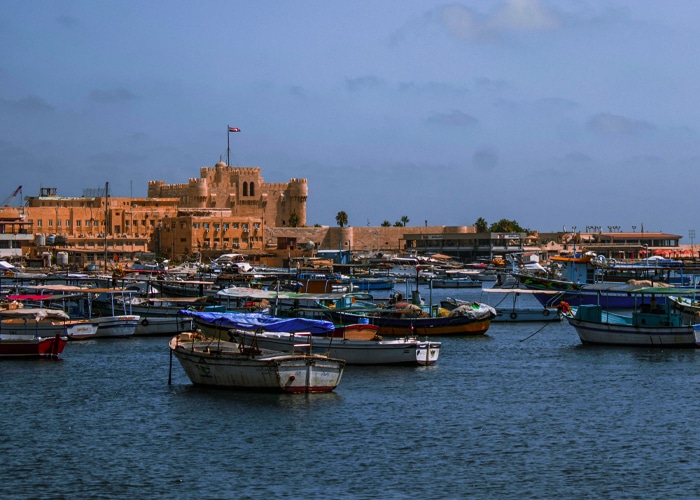 Alexandria City 