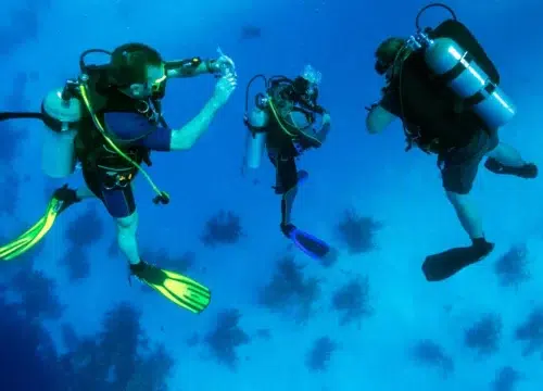 Ras Mohamed by Boat from Sharm El Sheikh