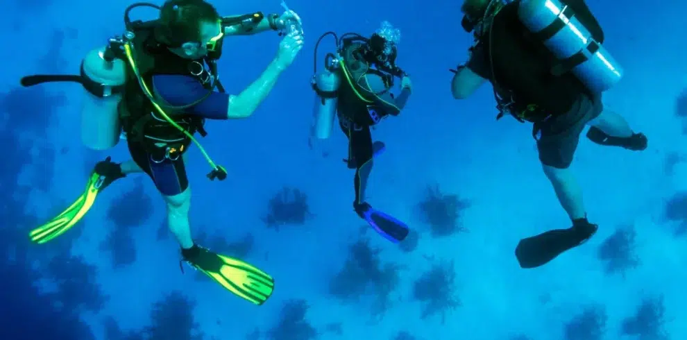 Ras Mohamed by Boat from Sharm El Sheikh