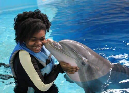 Dolphin Show trip