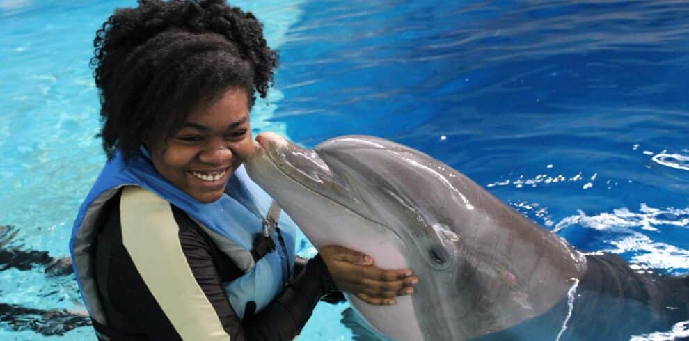 Dolphin Show trip
