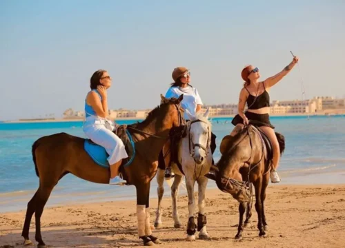 Sharm El Sheikh Horse Ride Trip
