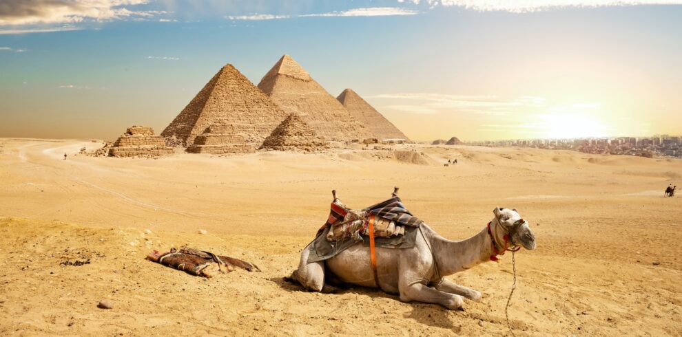 Luxor by plane from Sharm 1 day trip