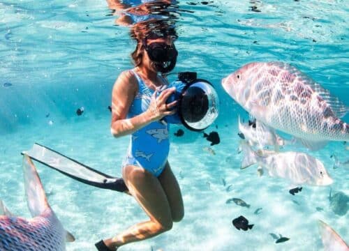 Snorkelin trip Giftun Island